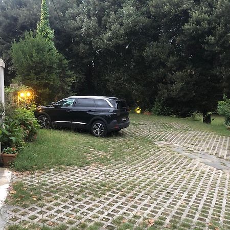 Villa La Dogana B&B Di Charme - Historic Villa With A Beautiful Garden Lucques Extérieur photo
