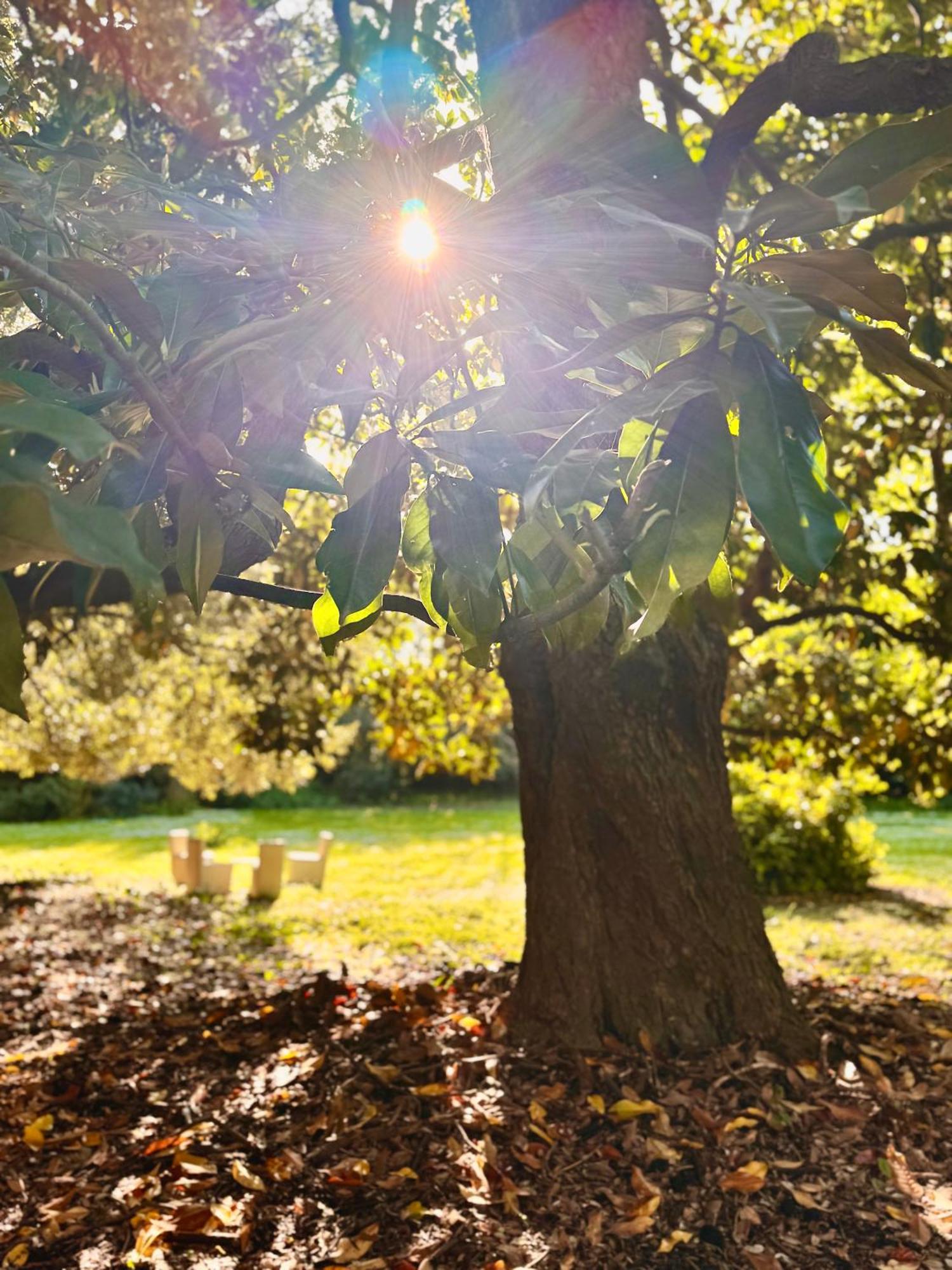 Villa La Dogana B&B Di Charme - Historic Villa With A Beautiful Garden Lucques Extérieur photo