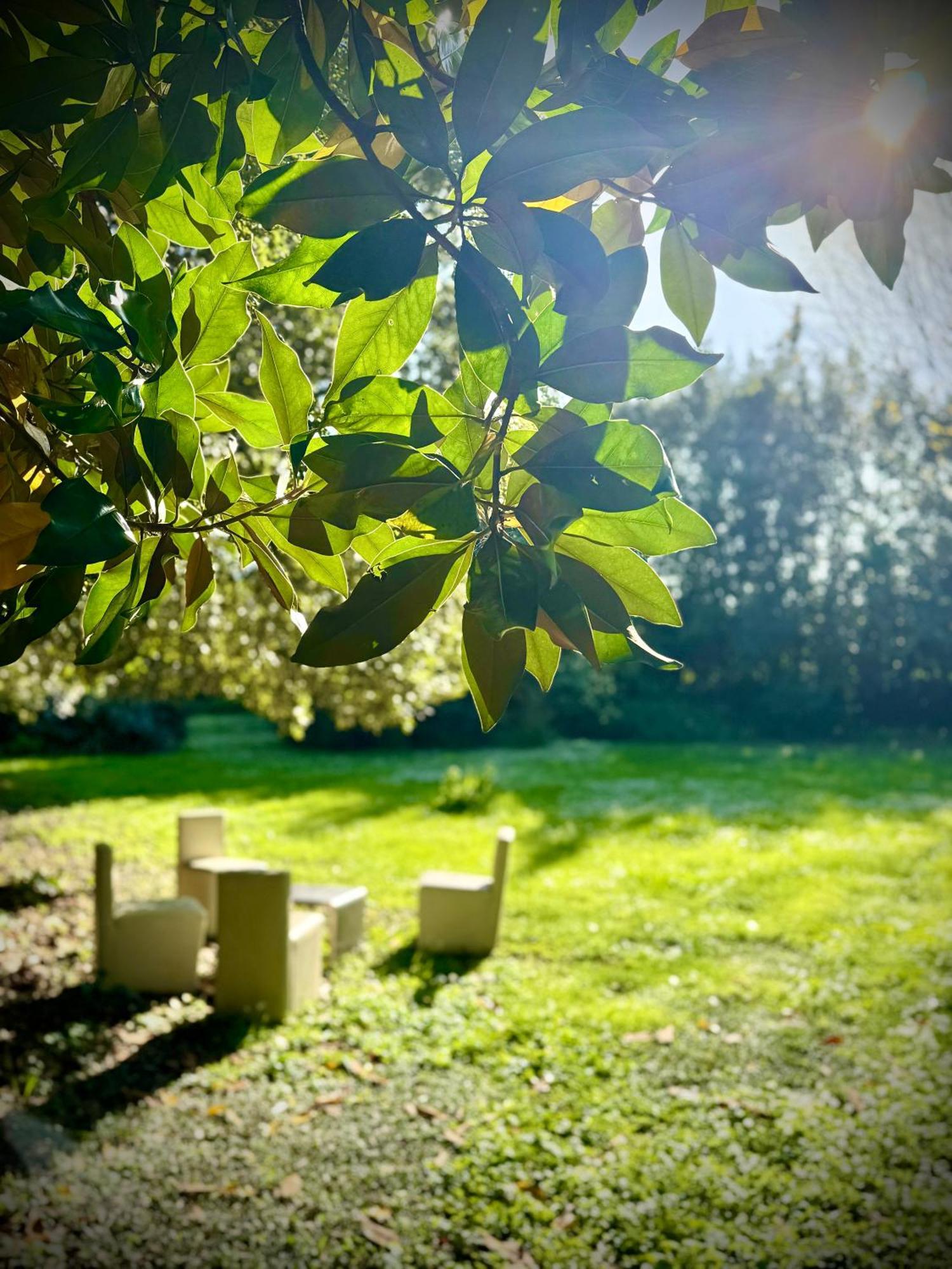 Villa La Dogana B&B Di Charme - Historic Villa With A Beautiful Garden Lucques Extérieur photo