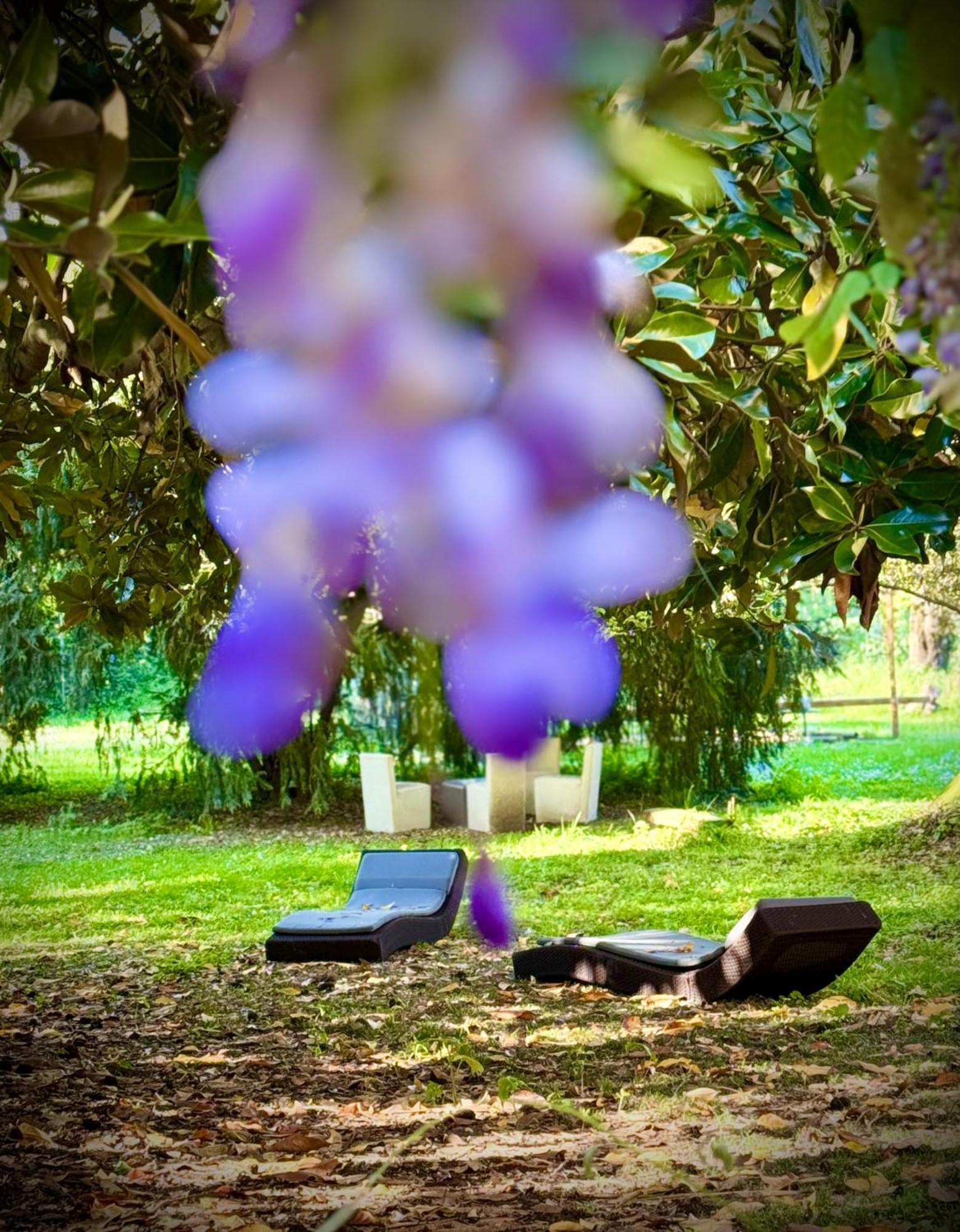 Villa La Dogana B&B Di Charme - Historic Villa With A Beautiful Garden Lucques Extérieur photo