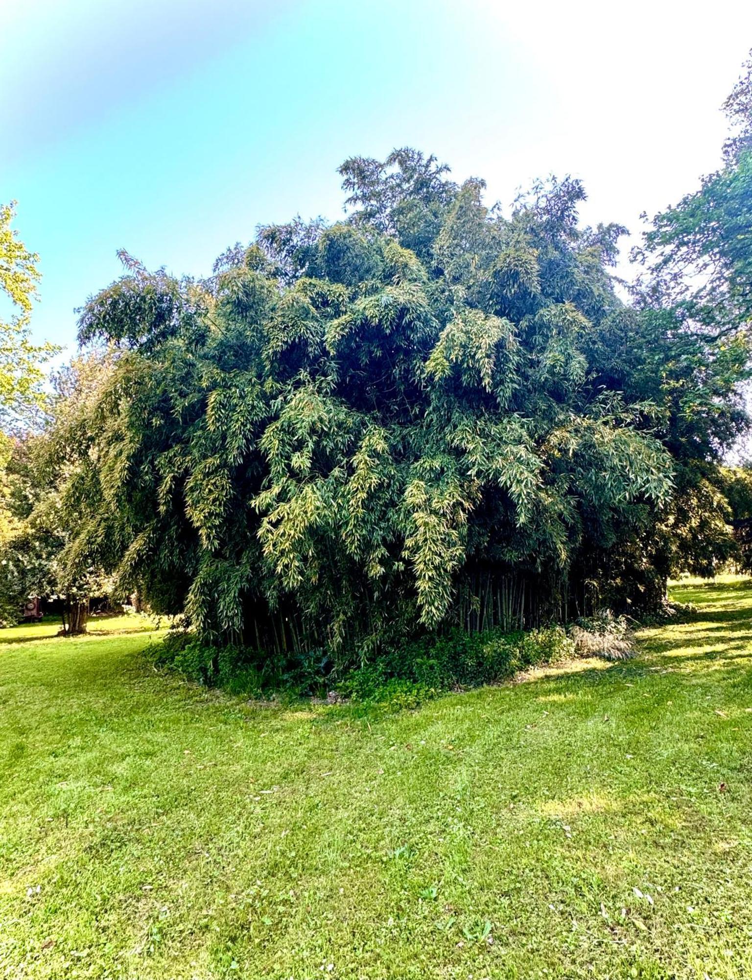 Villa La Dogana B&B Di Charme - Historic Villa With A Beautiful Garden Lucques Extérieur photo