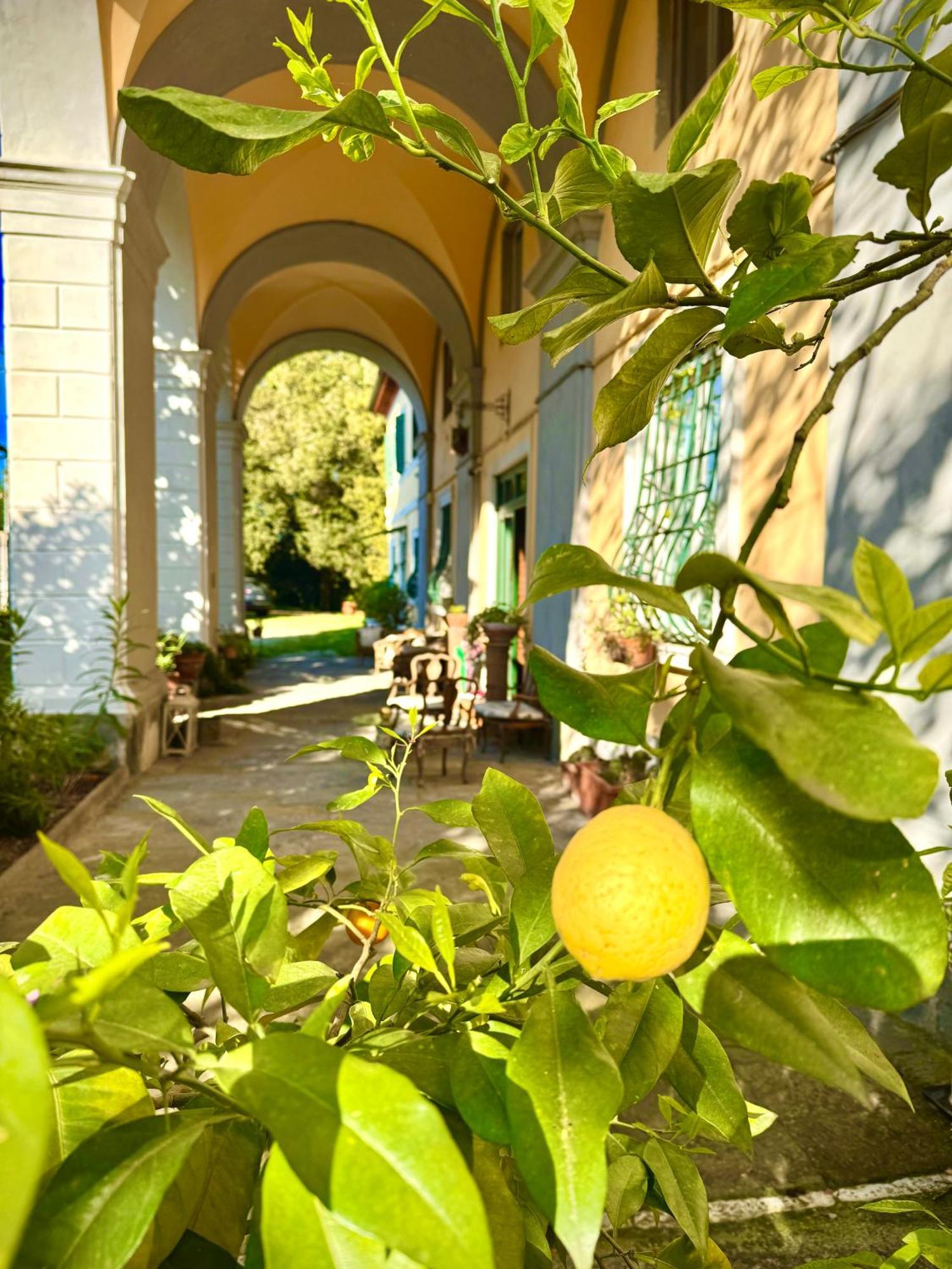 Villa La Dogana B&B Di Charme - Historic Villa With A Beautiful Garden Lucques Extérieur photo