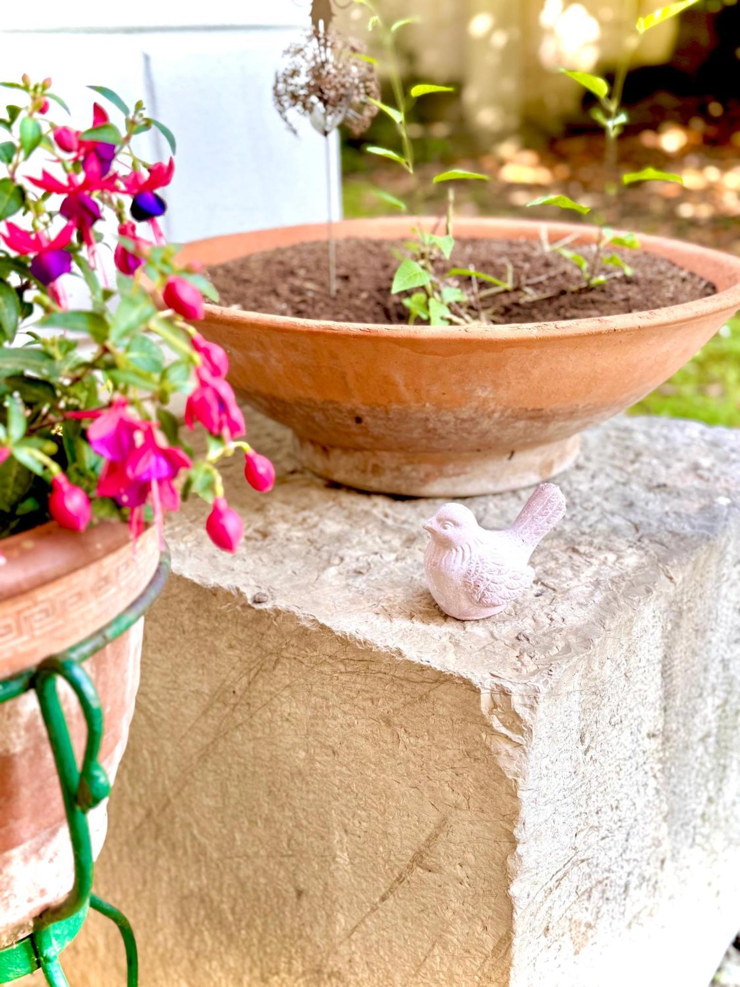 Villa La Dogana B&B Di Charme - Historic Villa With A Beautiful Garden Lucques Extérieur photo